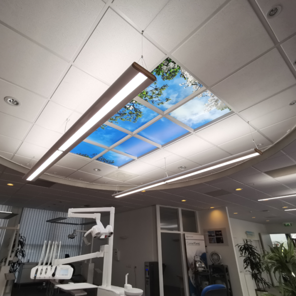 DBL LED SCHEIN NL