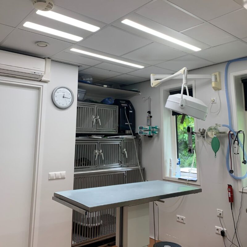 dierenkliniek-installatie-behandelkamer-LED-verlichting