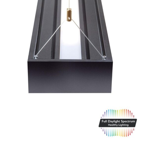 PHW - DentLed Dental Laboratory Lamp - Afbeelding 4