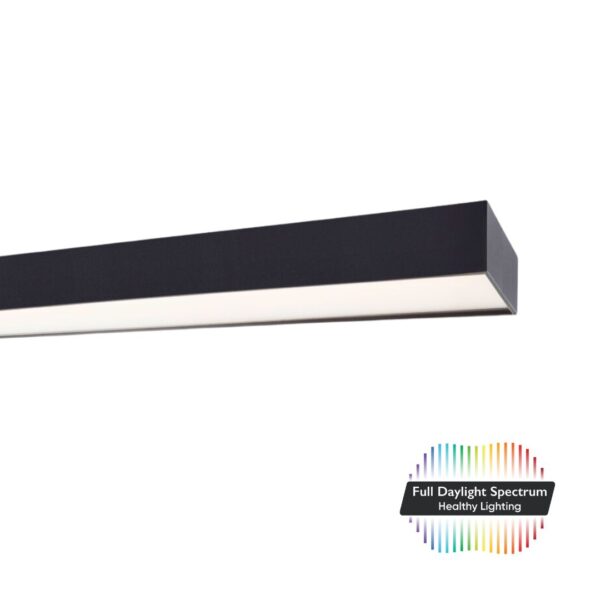 PHW - DentLed Dental Laboratory Lamp - Afbeelding 3