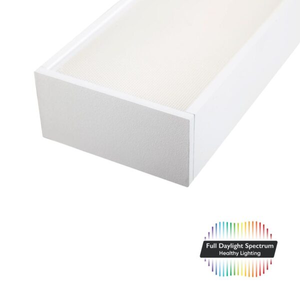 PHW - DentLed Dental Laboratory Lamp - Afbeelding 5