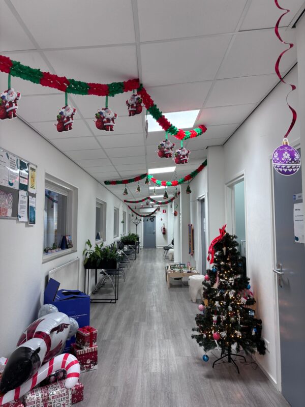 Ergonomische, oogvriendelijke DentLED DL60 daglicht-LED-panelen in de behandelkamers van tandartspraktijk De Oude Vest, die natuurlijk licht en het comfort van het tandheelkundig team verbeteren.