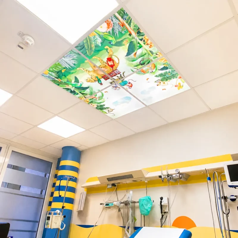 Op maat gemaakte Dentled LED-fotopanelen met rustgevende pimpelmees-natuurbeelden, geïnstalleerd op een kinderafdeling van een ziekenhuis.